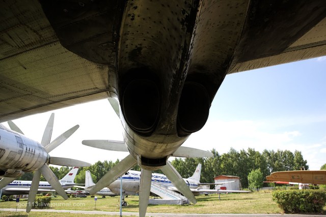 354229_original (1).jpg